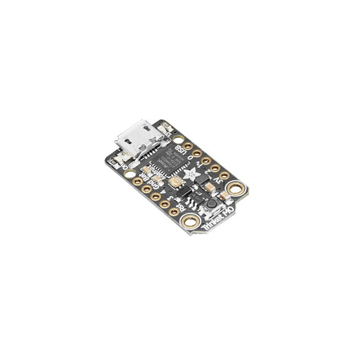 Module Trinket M0
