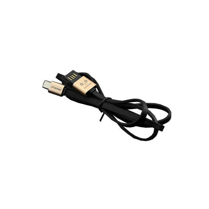 FIT0479 Cordon USB réversible pour carte LattePanda