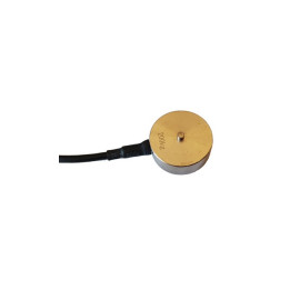 Capteur de charge CZL204E (200 Kg)