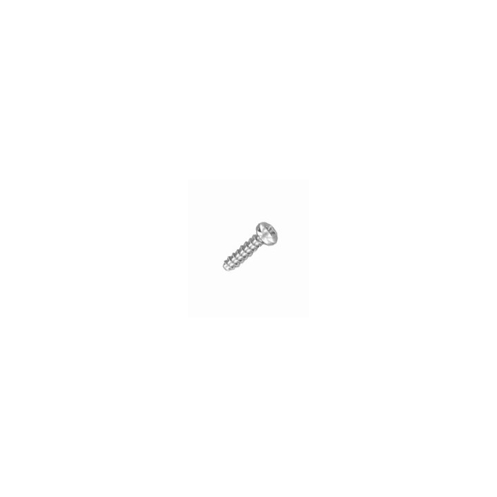 Vis thermoplastiques M3x12 mm