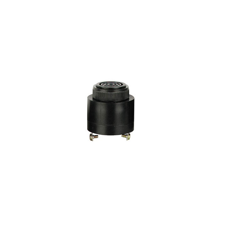 Buzzer VAC/VCC à sorties sur vis  - 1
