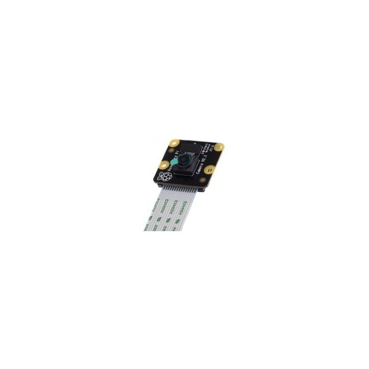 Caméra N&B "PI NOIR" V2 (8 MP) pour ordinateur mono-carte Raspberry 3