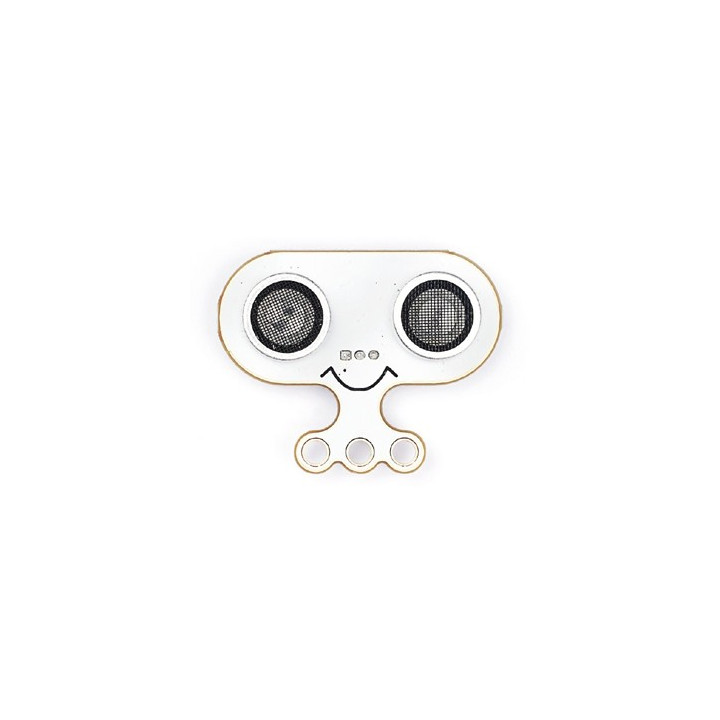 Face avant du module Sonar:bit