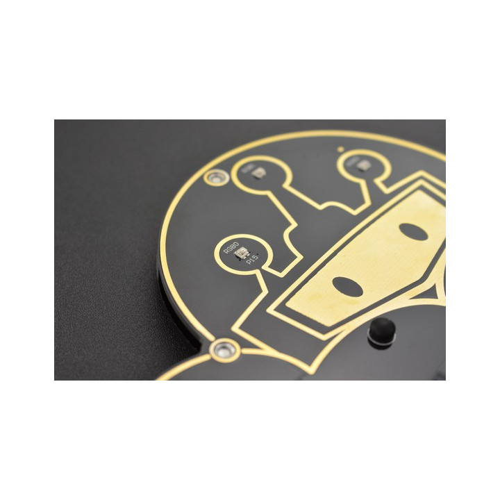 Détail des LEDS RGB de la platine micro: IoT DFROBOT MBT0012 pour carte micro:bit