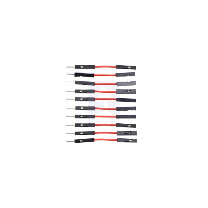 Straps flexibles rouge M/F (2,5 cm)
