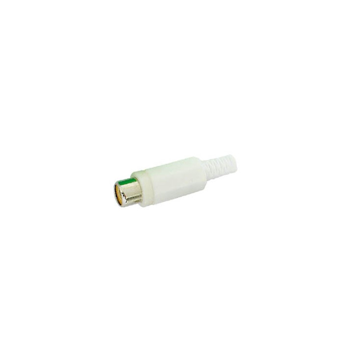 Connecteur RCA femelle (blanc)  - 1
