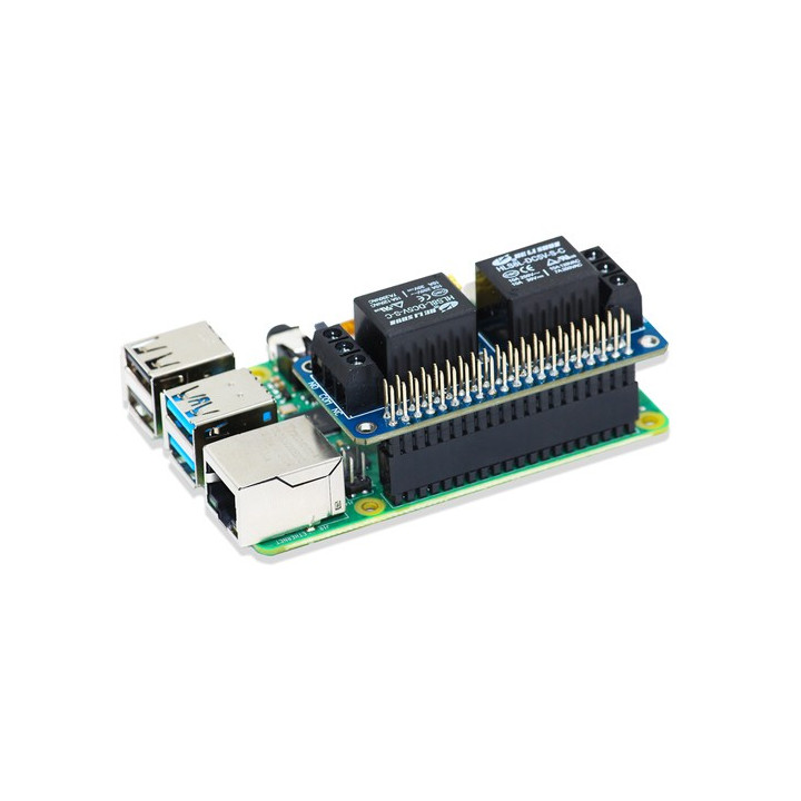 Vue de la latine 2 relais sur une Raspberry Pi 4