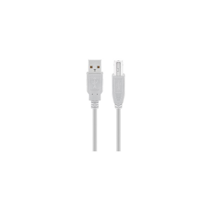 Cordon USB A mâle - USB B mâle (1,8 m)