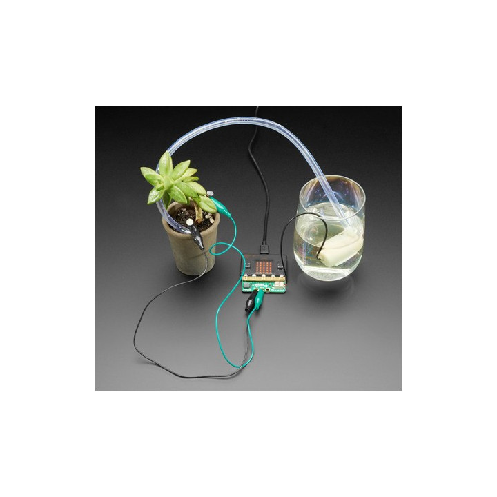 Exemple d'application de la platine Adafruit 4534 Bonsai Buckaroo