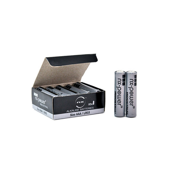 10 piles alcalines AAA 1,5V