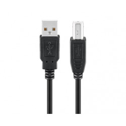 Cordon USB A mâle - USB B mâle (0,25 m)