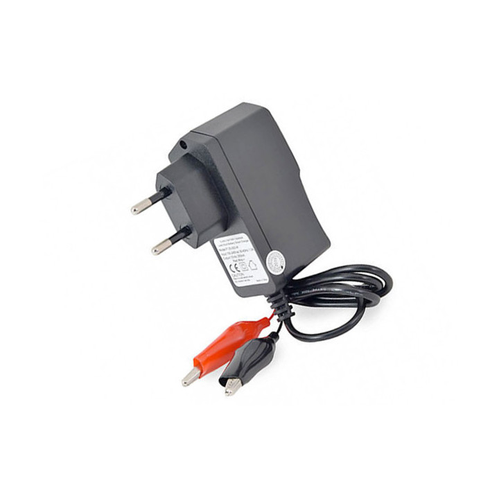 Chargeur pour batterie au plomb 12V