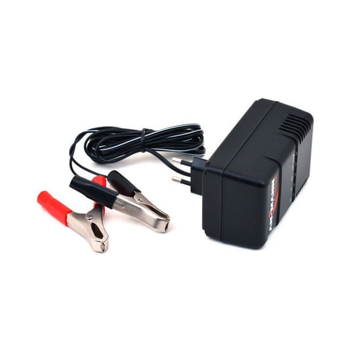 Chargeur pour batteries au plomb de 2V 6V 12V ou 24V  - 1