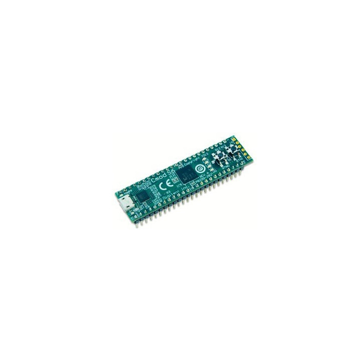 Module Cmod S6 sur base FPGA Spartan-6