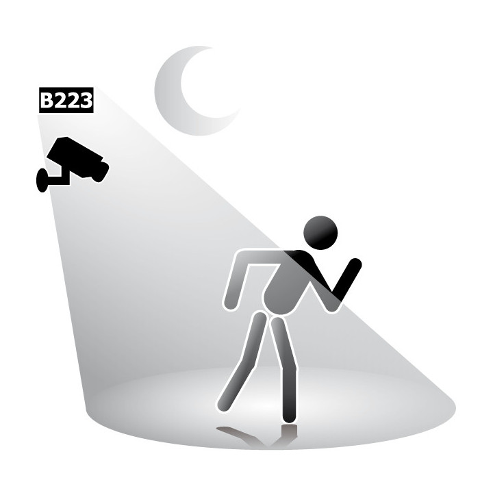 Exemple d'utilisation du kit projecteur Infrarouge Kemo® B223