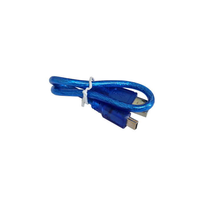 Cordon USB A mâle - mini-USB B mâle (25 cm)  - 1