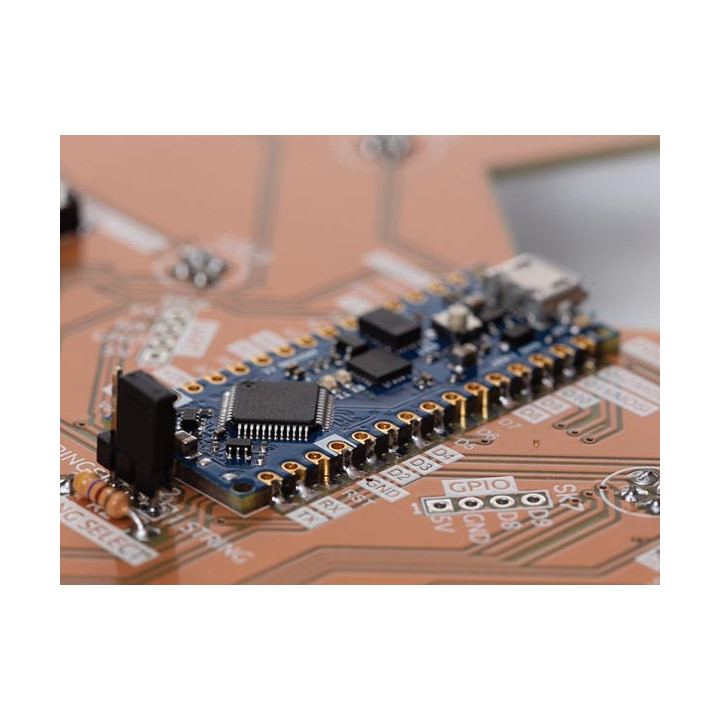Module Arduino Nano Evry inclus avec le kit de soudage et programmation Cerf Poly Whadda WSPXL103