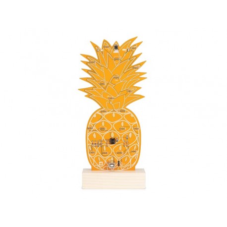 Face arrière du kit Ananas lumineux Whadda WSXL107 Face arrière du kit Ananas lumineux Whadda WSXL107