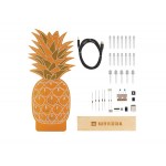 Détail des composants du kit Ananas lumineux Whadda WSXL107 Détail des composants du kit Ananas lumineux Whadda WSXL107