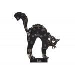 Face arrière du Kit Chat lumineux Whadda WSXL109 Face arrière du Kit Chat lumineux Whadda WSXL109