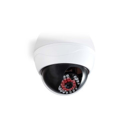 Caméra de sécurité factice DUMCD20WT