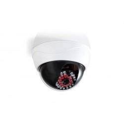 Caméra de sécurité factice DUMCD20WT