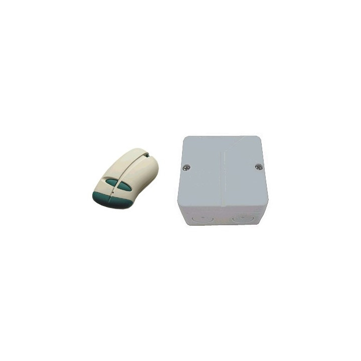 Ensemble de télécommande PROEM 2 canaux