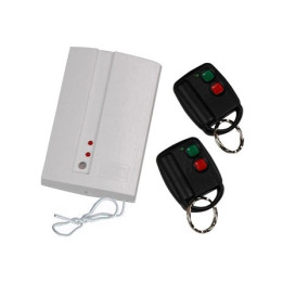 Ensemble de télécommande 2 canaux SET100T