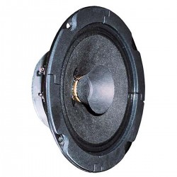 BG 13 P - 8 Ohm - Haut-parleur large bande 13 cm (5") - 1