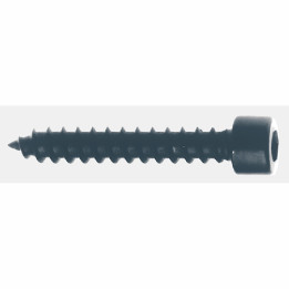 Vis (tête cylindrique) 5 x 30 mm  - 1