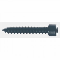 Vis (tête cylindrique) 5 x 30 mm - 1