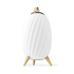 Haut parleur Bluetooth avec lumière d'ambiance - 4 Haut parleur Bluetooth avec lumière d'ambiance - 4