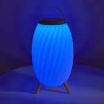 Haut parleur Bluetooth avec lumière d'ambiance - 8 Haut parleur Bluetooth avec lumière d'ambiance - 8