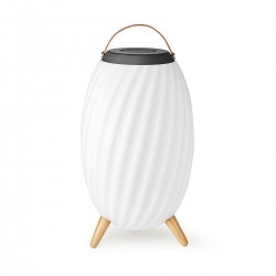 Haut parleur Bluetooth avec lumière d'ambiance - 1