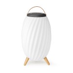 Haut parleur Bluetooth avec lumière d'ambiance - 1 Haut parleur Bluetooth avec lumière d'ambiance - 1