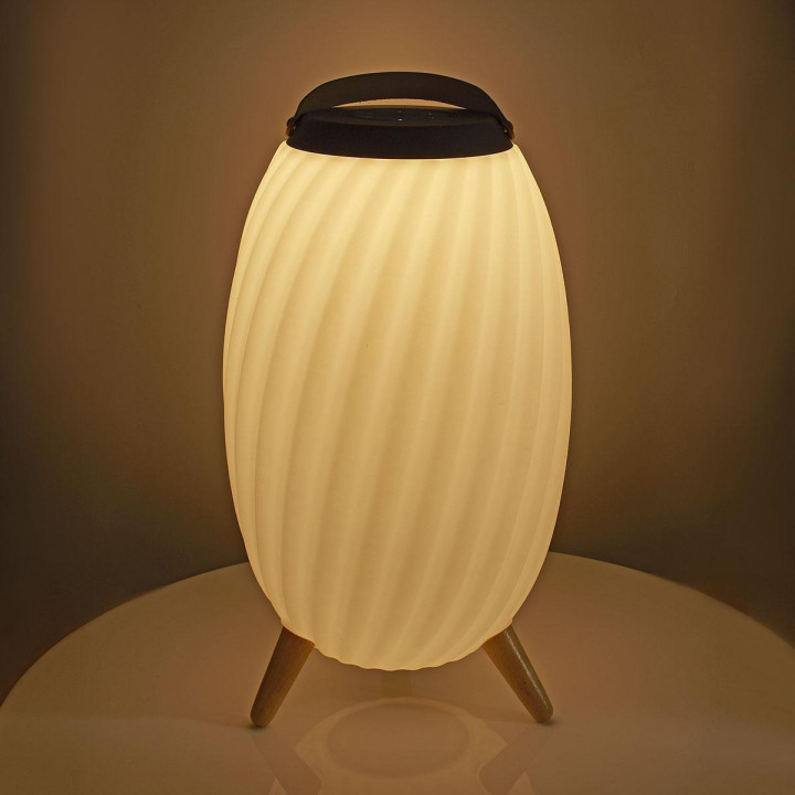 Haut parleur Bluetooth avec lumière d'ambiance  - 6