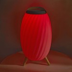 Haut parleur Bluetooth avec lumière d'ambiance - 7 Haut parleur Bluetooth avec lumière d'ambiance - 7