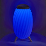 Haut parleur Bluetooth avec lumière d'ambiance - 8 Haut parleur Bluetooth avec lumière d'ambiance - 8
