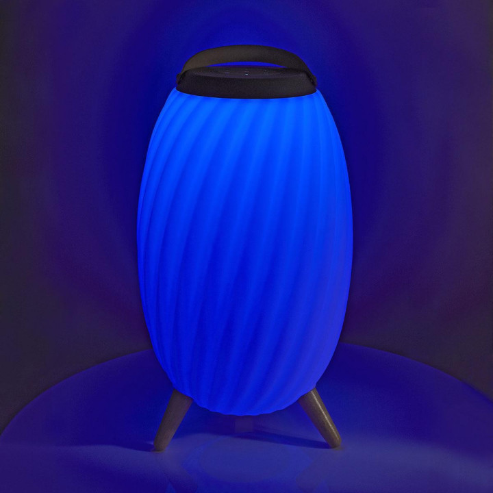 Haut parleur Bluetooth avec lumière d'ambiance  - 8