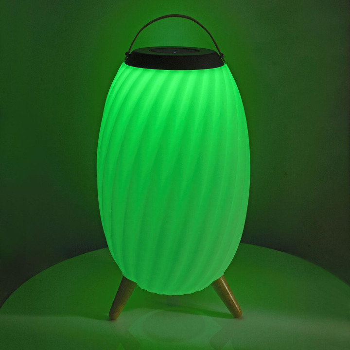 Haut parleur Bluetooth avec lumière d'ambiance  - 9