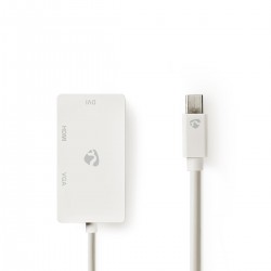 Mini câble Display Port - 1