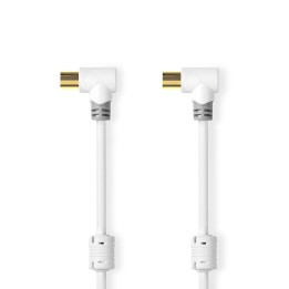 câble Coax  - 1