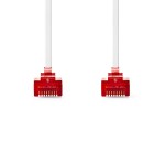 Câble Cat 6 - 2 Câble Cat 6 - 2