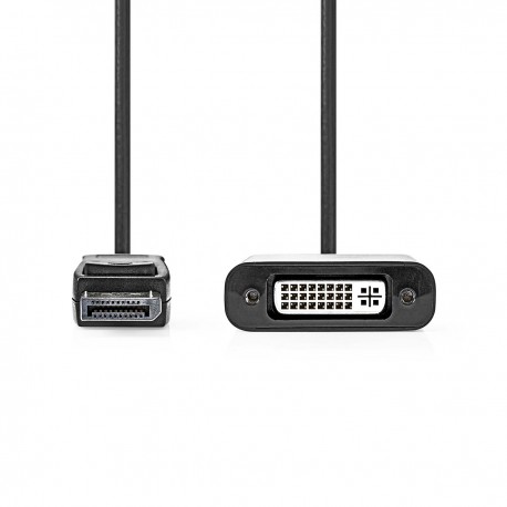 adaptateur DisplayPort - 2 adaptateur DisplayPort - 2