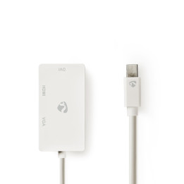 Mini câble Display Port  - 1