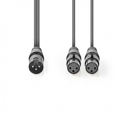 Câble Audio XLR Symétrique - 2 Câble Audio XLR Symétrique - 2