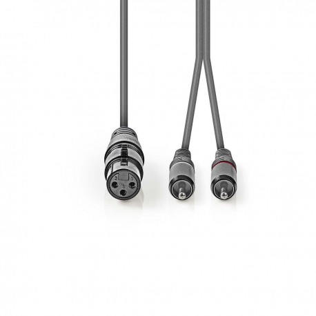 Câble Audio XLR Symétrique - 2 Câble Audio XLR Symétrique - 2