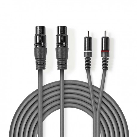 Câble Audio XLR Symétrique - 1