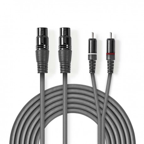 Câble Audio XLR Symétrique - 1 Câble Audio XLR Symétrique - 1