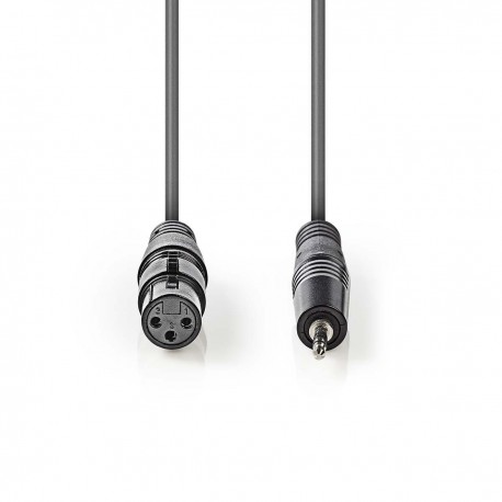 Câble Audio XLR Symétrique - 2 Câble Audio XLR Symétrique - 2